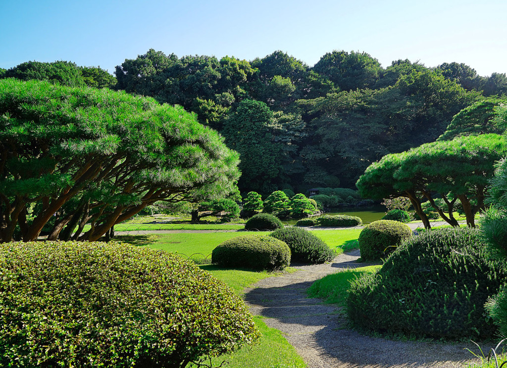tokyo-garden-size-ii